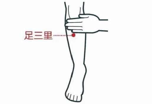 足三里.jpg 足三里.jpg