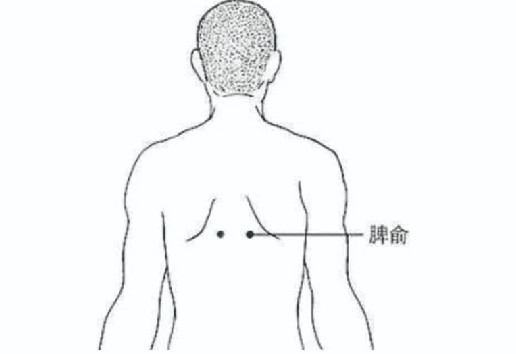 脾俞穴.jpg 脾俞穴.jpg